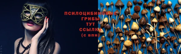 прущая мука Верхний Тагил