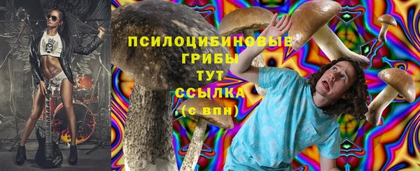 спиды Верея