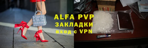 спиды Верея