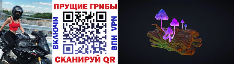 Купить где  Рославль  Галлюциногенные грибы Magic Shrooms 